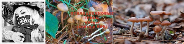 mdma Новокубанск
