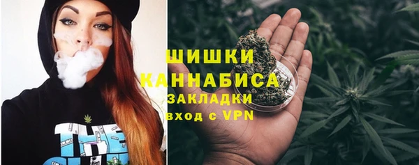 крисы Новодвинск
