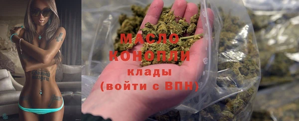 крисы Новодвинск