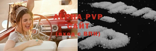 крисы Новодвинск