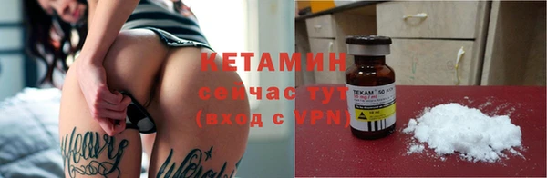 крисы Новодвинск