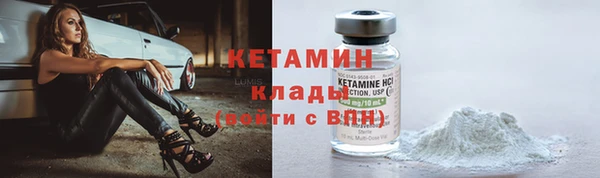 крисы Новодвинск