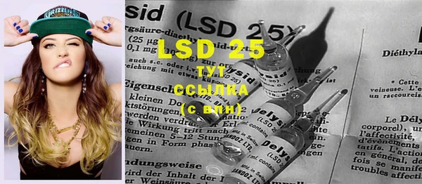 крисы Новодвинск